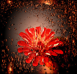 Image showing abstract glowing background with red flower.