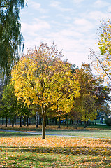 Image showing autumn park