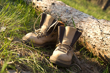 Image showing Pair of trekking boots in forest