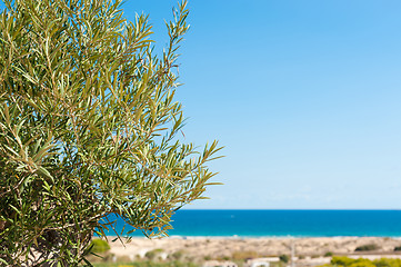 Image showing Mediterranean background