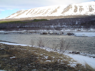 Image showing Vaglaskógur in Iceland