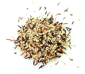 Image showing wild rice blend