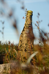 Image showing dusty bottle