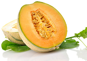 Image showing melon