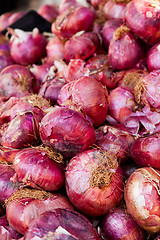 Image showing Red onion