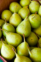 Image showing Fresh pears