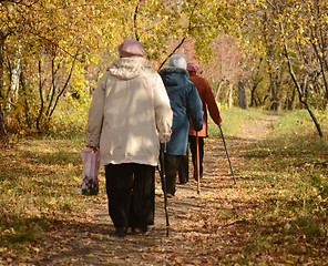 Image showing walking