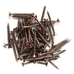 Image showing Screws