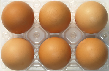 Image showing Eggs picture