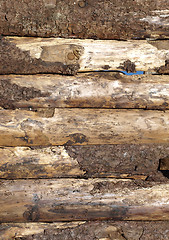 Image showing Wood picture