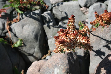 Image showing shadows on the rock