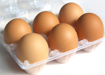 Image showing Eggs picture