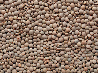 Image showing Lentils picture