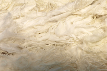 Image showing Wool picture