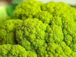 Image showing Cauliflower