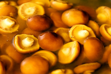 Image showing Nameko mushrooms