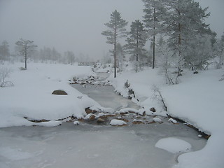 Image showing Wintertime