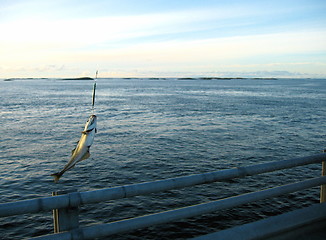 Image showing Fishing