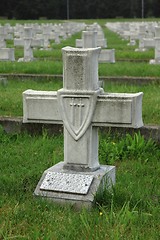 Image showing Military cemetery