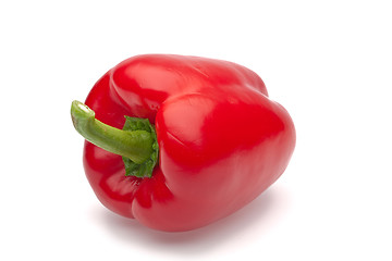 Image showing  pepper
