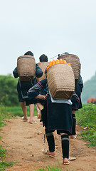 Image showing Hill tribe women in Sapa, Vietnam