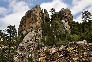 Image showing mountain forest