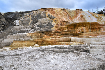 Image showing  Mammoth Hot Springs in Yellowstone National Park 