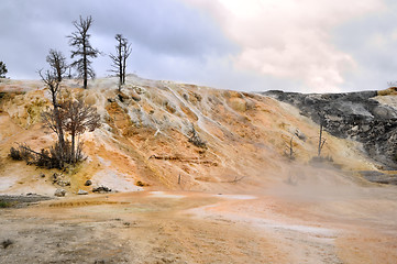 Image showing Mammoth Springs. Yellowstone National Park, Wyoming 