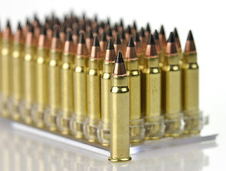 Image showing hunting bullets