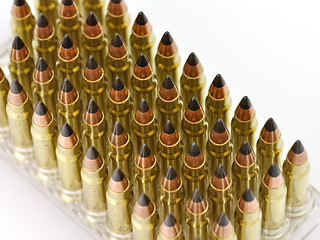 Image showing hunting bullets