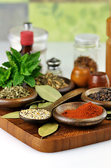 Image showing spices