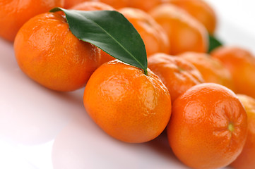 Image showing mandarin fruits