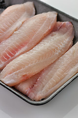 Image showing tilapia fillet