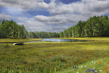 Image showing summer landscape