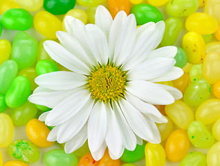 Image showing flower and candy 