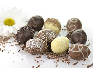 Image showing chocolate eggs