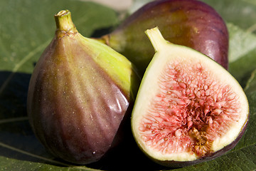 Image showing Figs