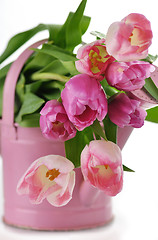 Image showing tulips