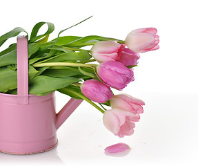 Image showing tulips