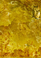 Image showing grunge textured background collage 