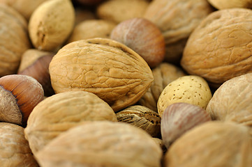 Image showing Mixed nuts background 