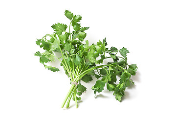 Image showing  parsley 