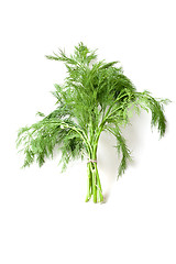 Image showing   dill 