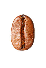 Image showing  coffee bean