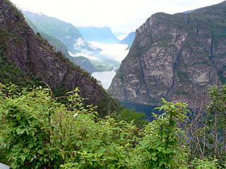 Image showing Fjords