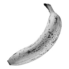 Image showing Banana isolated