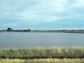 Image showing Paddy field