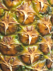 Image showing Pineapple picture
