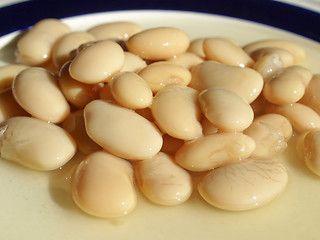 Image showing Beans salad