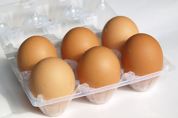 Image showing Eggs picture